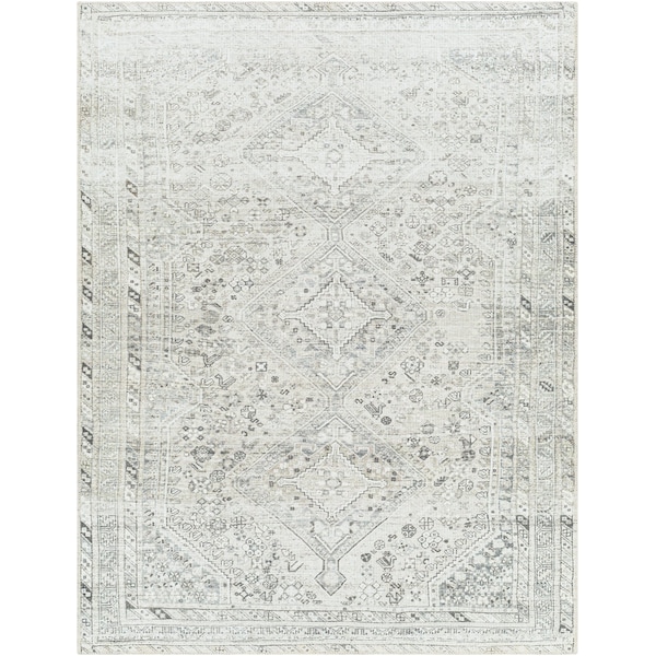 Livabliss Amelie AML-2379 Machine Washable Area Rug AML2379-5373 - main